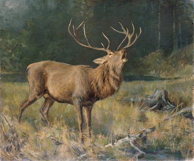 Cervo in bramito da Franz Xaver von Pausinger