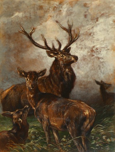 Cervi e cerbiatti da Franz Xaver von Pausinger