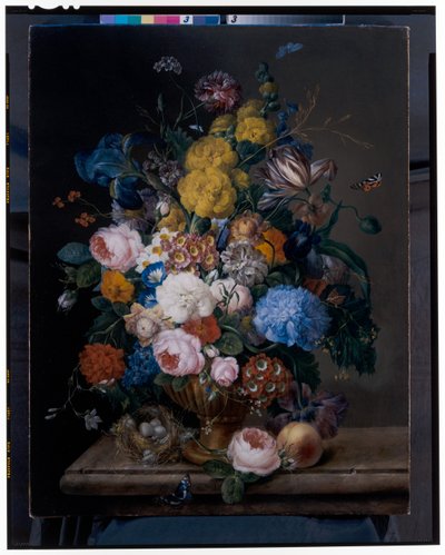 Rose, iris, garofani, tulipani e altri fiori in un