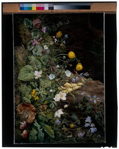 Fiori selvatici alla base di un albero da Franz Xavier Petter