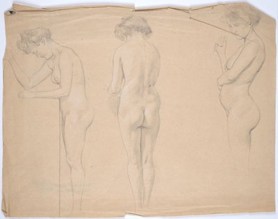Studi di nudo di una donna incinta da Franz von Matsch