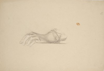 Studio manuale da Franz von Matsch