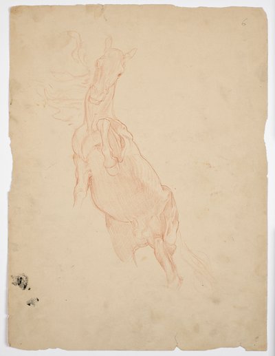 Studi di un cavallo che si alza da Franz von Matsch