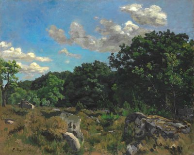 Paesaggio a Chailly, 1865 da Frédéric Bazille