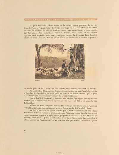 Corfù. Oliveto da Frédéric Boissonnas