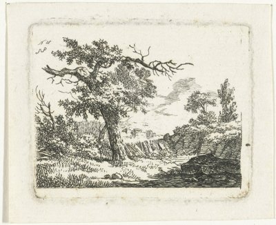 Paesaggio con albero con due rami secchi da Frédéric Théodore Faber