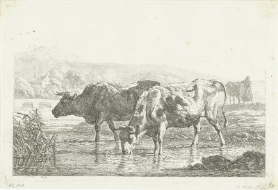 Due mucche che bevono da Frédéric Théodore Faber