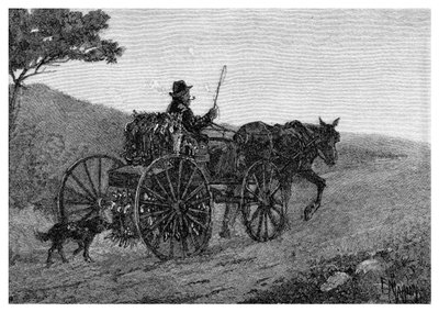 Un cacciatore di conigli di Colac, 1886 da Frederic B. Schell