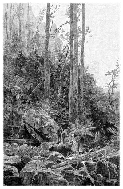 Un burrone nelle Blue Mountains, Australia, 1886 da Frederic B. Schell