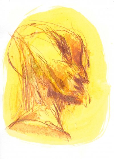  da Frederic Belaubre