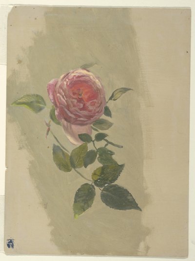 Un Ramo di Rosa da Frederic Edwin Church