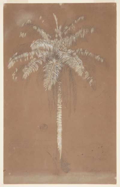Palma Abaye, Monte Salus, Giamaica da Frederic Edwin Church