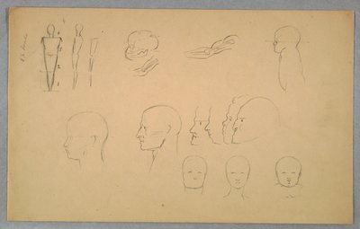 Studi Anatomici da Frederic Edwin Church