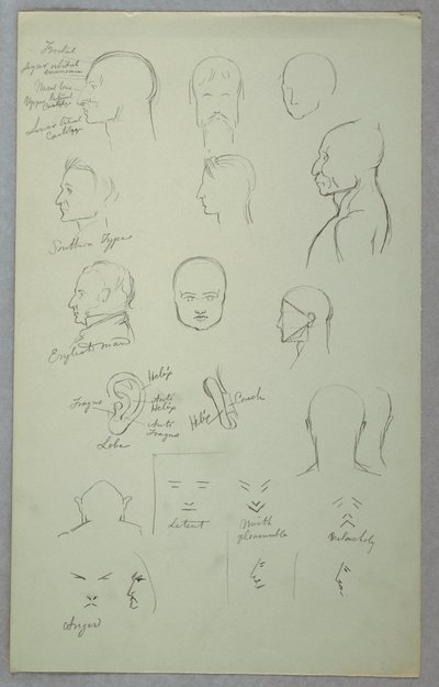 Studi Anatomici da Frederic Edwin Church
