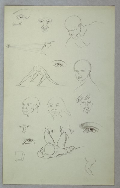 Studi anatomici da Frederic Edwin Church