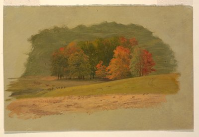 Paesaggio autunnale da Frederic Edwin Church