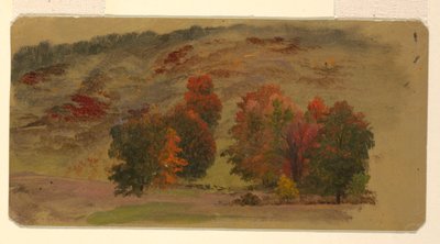 Paesaggio autunnale da Frederic Edwin Church