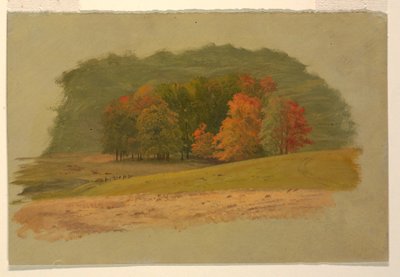 Paesaggio autunnale da Frederic Edwin Church