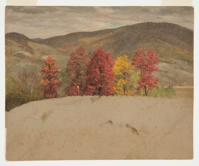 Paesaggio autunnale nel New England da Frederic Edwin Church
