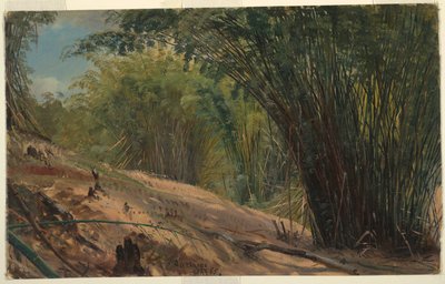 Boschetto di bambù, Giamaica da Frederic Edwin Church