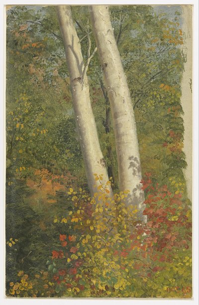 Betulle in autunno da Frederic Edwin Church