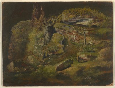 Masso nel bosco da Frederic Edwin Church