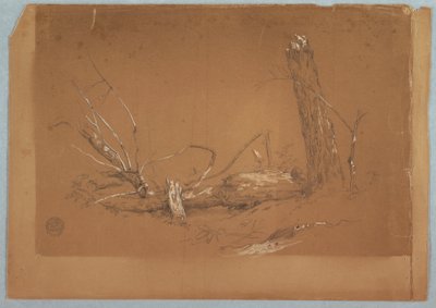 Disegno, Un albero morto spezzato, 1855-65 da Frederic Edwin Church