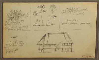 Disegno, un forte; verso: schizzi botanici, casa, 1857 da Frederic Edwin Church