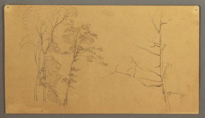 Disegno, Gruppo di alberi con la parte superiore di un albero morto, 1866 da Frederic Edwin Church