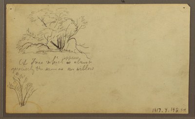 Disegno, Una capanna sulle poste, Guayaquil, Ecuador, maggio 1857 da Frederic Edwin Church