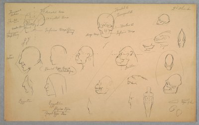 Disegno, Studi anatomici, 1865-70 da Frederic Edwin Church