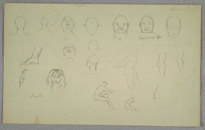 Disegno, Studi anatomici, 1865-70 da Frederic Edwin Church