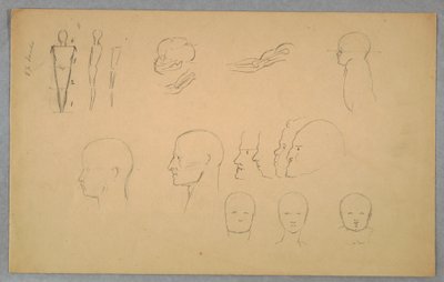 Disegno, Studi anatomici, 1865-70 da Frederic Edwin Church
