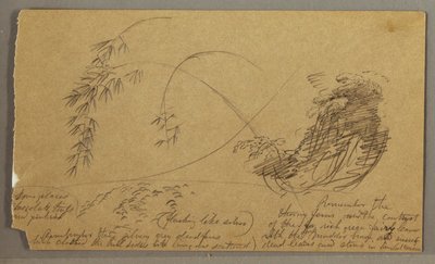 Disegno, Ramoscelli di bambù, forse 1865-66 da Frederic Edwin Church