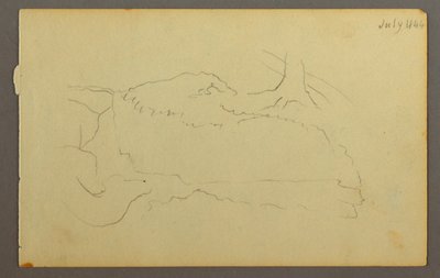 Disegno, Base di un albero, massi, 1844 da Frederic Edwin Church