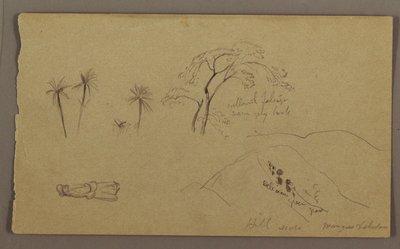 Disegno, schizzi botanici, figura, maggio-agosto 1865 da Frederic Edwin Church