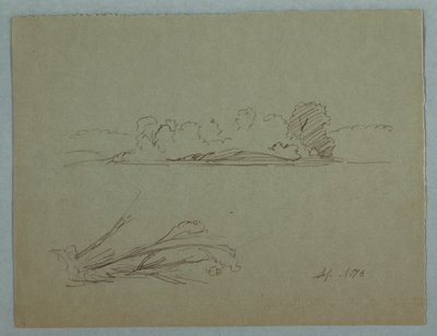 Disegno, Schizzi botanici: paesaggio, alberi in riva al mare, settembre 1876 da Frederic Edwin Church