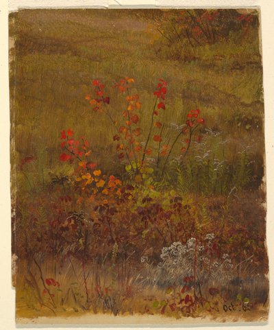 Disegno, Studi botanici, ottobre 1865 da Frederic Edwin Church