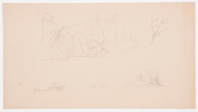 Disegno, Schizzi botanici: albero, alberi in riva al mare, settembre 1876 da Frederic Edwin Church