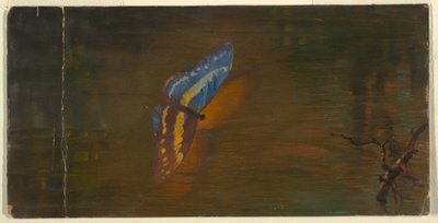 Disegno, Farfalla sull