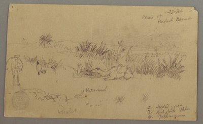 Disegno, Cammelli che bevono su una collina, 22 febbraio, forse 1868 da Frederic Edwin Church