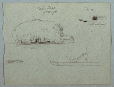 Disegno, Albero di Ceiba a Mompos, canoa Champan, alberi e una barca parziale, Rio Magdelena, Colombia, 1853, probabilmente maggio da Frederic Edwin Church