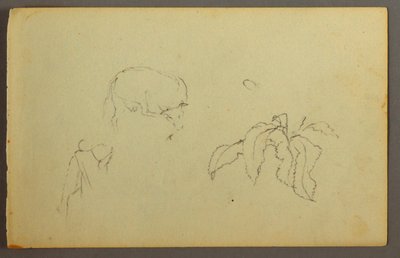 Disegno, Mucca che si gratta la testa, pianta di foglie, forse 1844 da Frederic Edwin Church