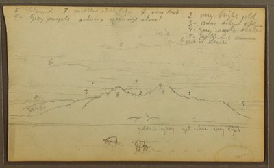 Disegno, Mucche in un paesaggio; verso: Bambù, 1857 da Frederic Edwin Church