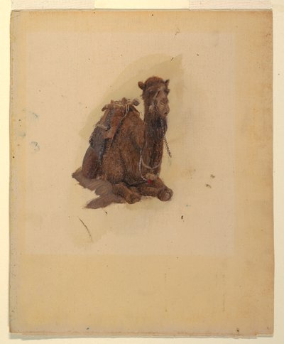 Disegno, Dromedario accovacciato, 1868 da Frederic Edwin Church