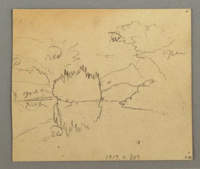Disegno, Alberi morti, pianta, forse 1868 da Frederic Edwin Church