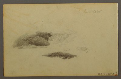 Disegno, betulla deperita, 1844 da Frederic Edwin Church