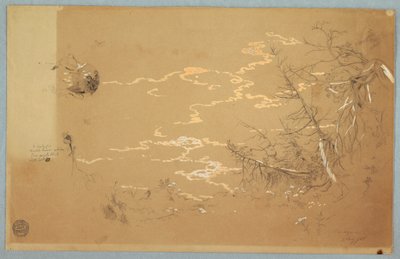 Disegno, vista dettagliata del bordo della banca canadese, agosto 1858 da Frederic Edwin Church