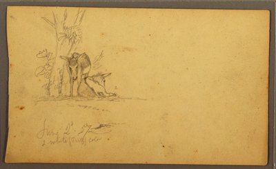 Disegno, Asini, 2 giugno 1857 da Frederic Edwin Church