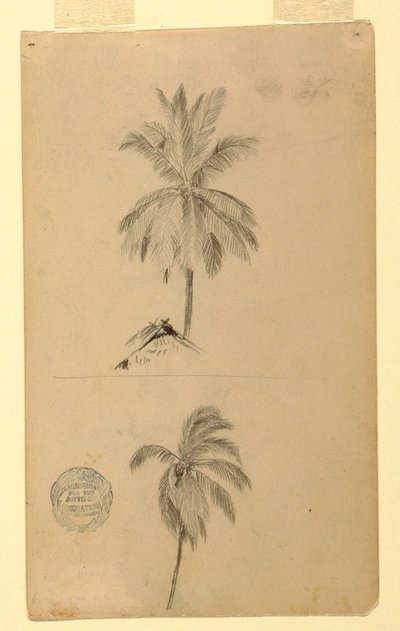 Disegno, Disegni.  Due schizzi.  Palme, 1857 da Frederic Edwin Church